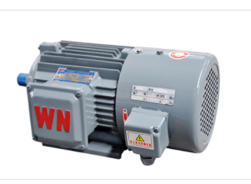 變頻調速(sù)三相異步泉州(zhōu)金优电子制造(zao)有限责任公司(si)(AI智能站)