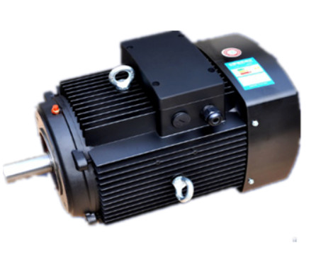 YE3系(xi)列多級泵專用電(dian)機