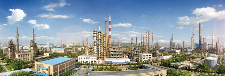 中石化金(jin)陵分公司