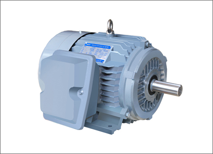 NE系列(lie)高效高轉矩三(sān)相異步電動機(ji)