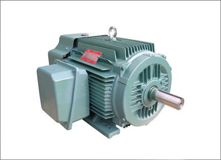 NEP系列超高(gāo)效率三相異步(bù)電動機