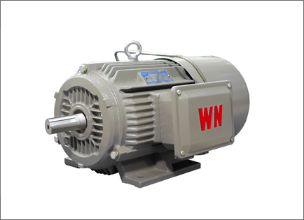 YXEJ系列高效(xiao)率電磁制動三(sān)相異步電動機(jī)