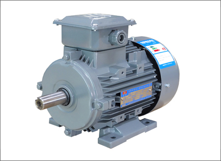 YXL系列高效(xiao)率鋁機殼三相(xiang)異步電動機