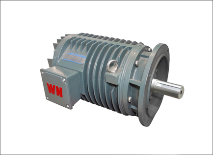 YG系列(lie)輥道用調速三相(xiang)異步電動機