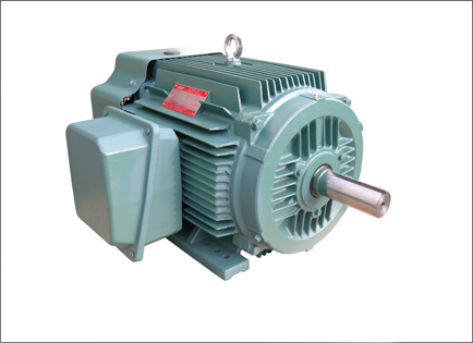 NEP系列超高效率(lǜ)三相異步電動機(jī)