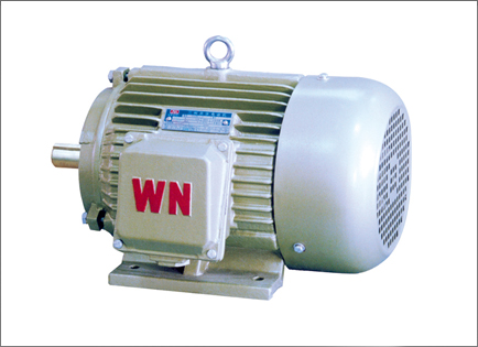YD2系列變多速(sù)三相異步電動(dòng)機