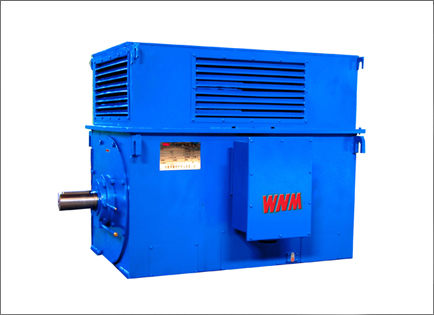 Y系列高壓高(gāo)效三相異步電(diàn)動機