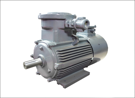 YBBP系列(liè)隔爆型變頻調(diao)速三相異步電(diàn)動機