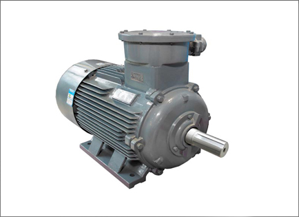 YBX3系列高效率隔(ge)爆型三相異步(bù)電動機
