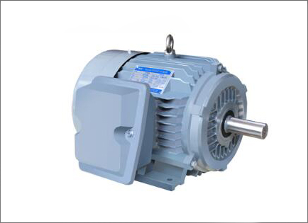 NE系列高效高轉(zhuan)矩三相異步電動(dòng)機