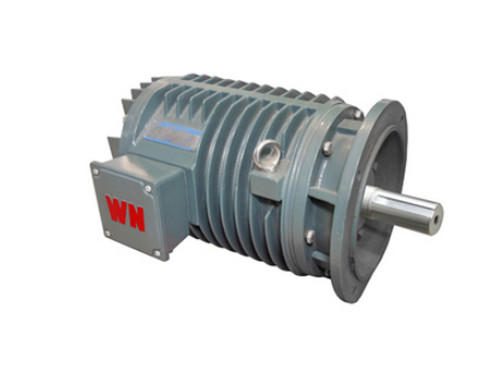 YG系(xì)列輥道用調速三(sān)相異步電動機