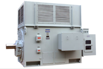 河北(běi)泉州金优(yōu)电子制造(zao)有限责任(ren)公司(AI智能(neng)站)三相異(yì)步電動機(ji)